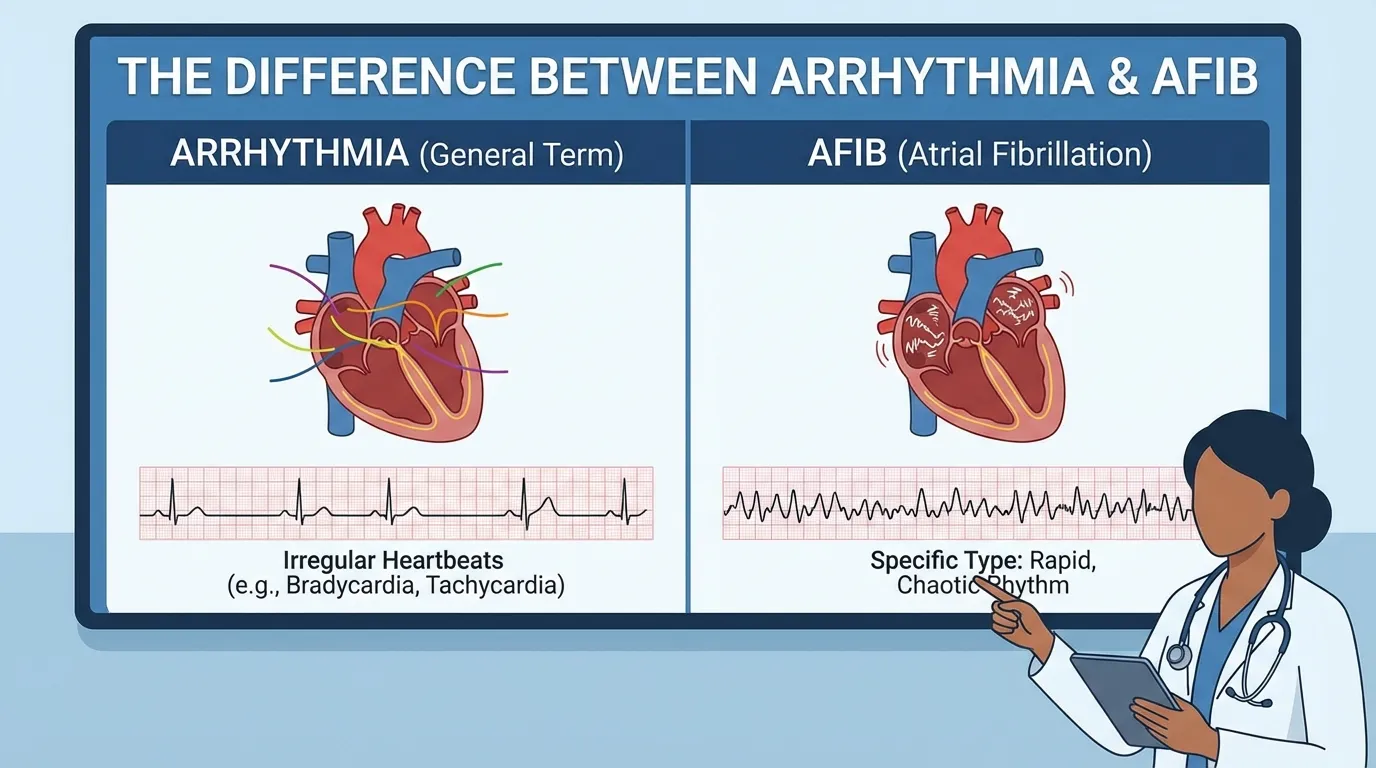 Difference Between Arrhythmia and AFib